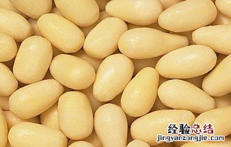 黄豆的种植方法与时间与田间管理视频 黄豆的种植方法与时间