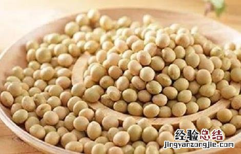 黄豆的种植方法与时间与田间管理视频 黄豆的种植方法与时间
