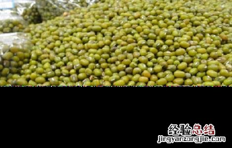 绿豆的种植方法与时间视频 绿豆的种植方法与时间