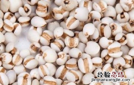 薏米的种植方法与时间 薏米的种植方法与时间视频
