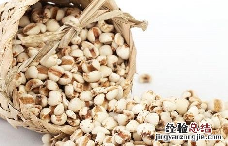 薏米的种植方法与时间 薏米的种植方法与时间视频