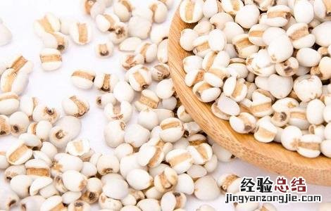 薏米的种植方法与时间 薏米的种植方法与时间视频