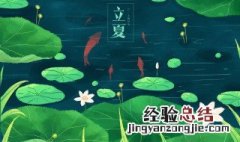 立夏起居养生常识 立夏养生要点