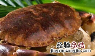 面包蟹怎么保存到第二天 面包蟹放冰箱保鲜怎么储存