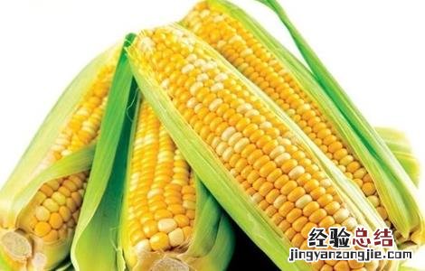 玉米的种植方法和时间 玉米的种植方法
