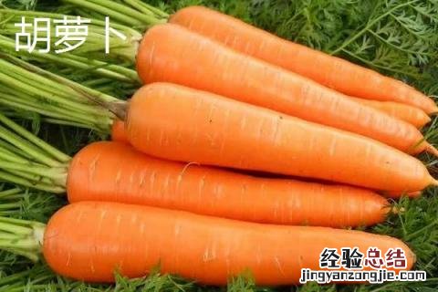 胡萝卜和红萝卜的区别 胡萝卜和红萝卜的区别图片微信好友删除了怎么找回