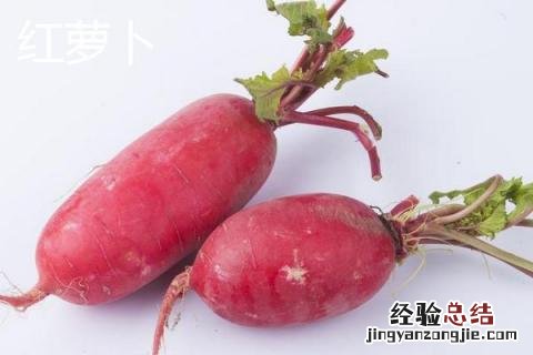 胡萝卜和红萝卜的区别 胡萝卜和红萝卜的区别图片微信好友删除了怎么找回