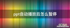 ppt自动播放后怎么暂停 ppt自己播放如何暂停