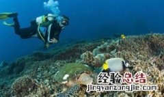 每天适合游泳的时间 什么时候适合游泳