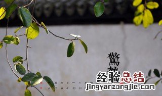 惊蛰怎么养生 送给爱养生的你