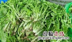 熟的荠菜放在冷藏有没有毒 荠菜没熟有毒吗