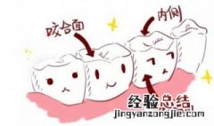 牙齿美白方法小窍门 牙齿美白小窍门小苏打