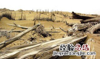 楼兰古城为什么是禁区 楼兰古城为什么是禁区呢