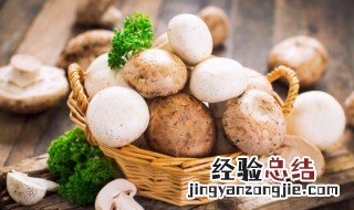 泡椒炒口蘑怎么做 泡椒炒蘑菇的做法