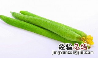 丝瓜烧豆腐怎么做 丝瓜烧豆腐怎么做好吃视频