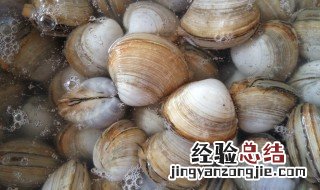 什么人不能吃美贝 美贝什么人群不能吃