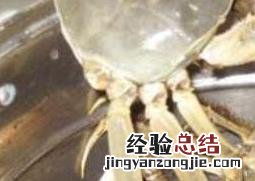 活螃蟹怎么保存 活螃蟹怎么保存过夜