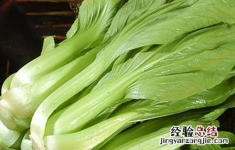 油菜的种植时间与方法图片 油菜的种植时间与方法