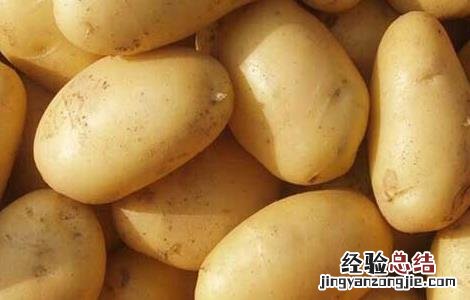 土豆种子批发价格 土豆种子价格及种植方法