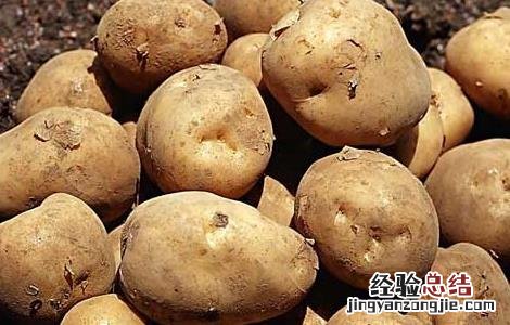 土豆什么时候进入中国 土豆什么时候进入中国市场