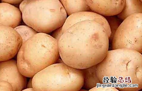 土豆什么时候进入中国 土豆什么时候进入中国市场