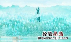 清明节象征着什么花 清明节的鲜花叫啥花