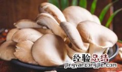 白灵菇的营养价值 白灵菇的营养价值及功效
