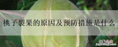 桃子裂果的防治方法 桃子裂果的原因及预防措施是什么