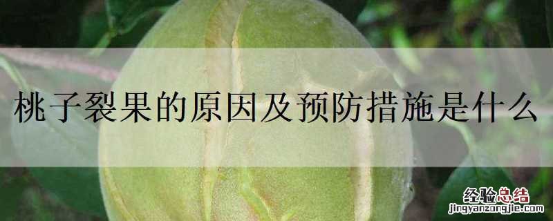 桃子裂果的防治方法 桃子裂果的原因及预防措施是什么