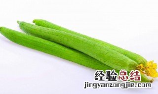 豉香丝瓜怎么做 豉油蒸丝瓜的做法