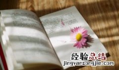 保护是爱吗 保爱是什么意思