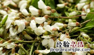 槐花的营养价值及功效与作用 槐花的营养价值