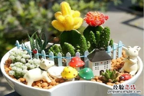 多肉叶插繁殖方法 多肉植物怎么繁殖叶插方法整理