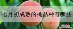 七月初成熟的桃品种有哪些图片 七月初成熟的桃品种有哪些