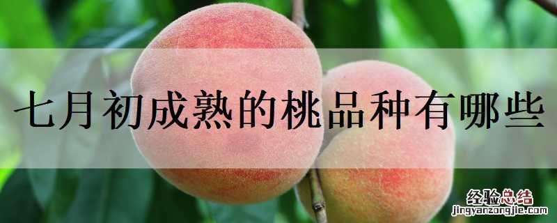 七月初成熟的桃品种有哪些图片 七月初成熟的桃品种有哪些