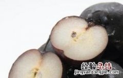 黑梨的功效和作用 黑梨的功效与作用及食用方法