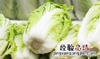 住楼房了冬天白菜怎么储存 住楼房了冬天白菜储存方法介绍