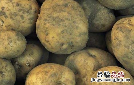 马铃薯发芽能吃吗 马铃薯发芽能吃吗图片
