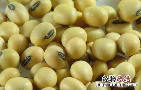 转基因大豆是怎么回事 转基因大豆是怎么回事儿