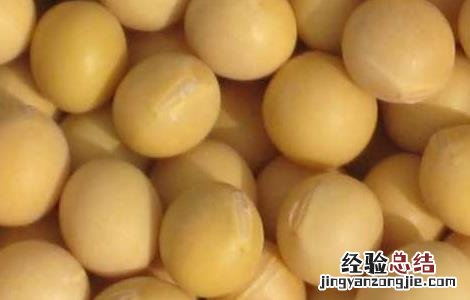 转基因大豆是怎么回事 转基因大豆是怎么回事儿