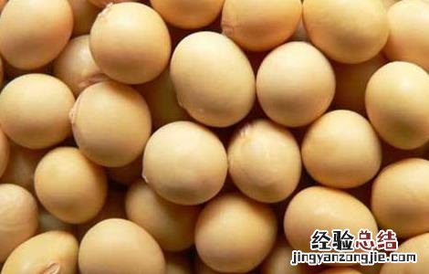 转基因大豆是怎么回事 转基因大豆是怎么回事儿