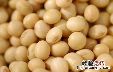 转基因大豆是怎么回事 转基因大豆是怎么回事儿