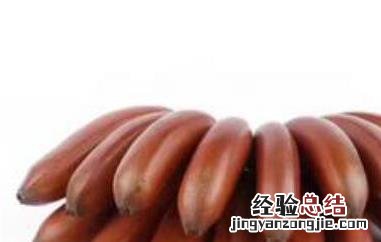 美人蕉香蕉的作用 美人香蕉的功效与作用