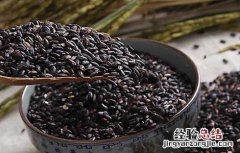 黑米掉色正常吗 黑米掉色是怎么回事