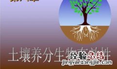 养分的基本功能 养分一般的营养生理功能