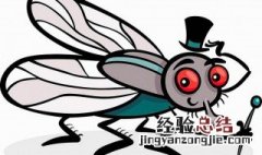 於菊虫怎么读 於菊虫的拼音