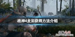 战神4龙泪怎么用 战神4龙泪怎么获得