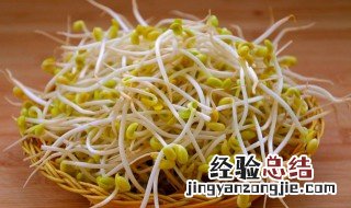 自己在家怎么生豆芽菜 自己家怎么生豆芽好吃窍门