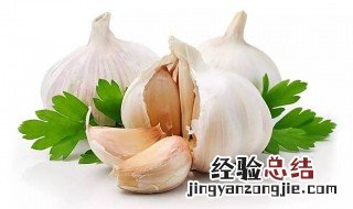 泡蒜头的禁忌 酒泡大蒜禁忌人群介绍