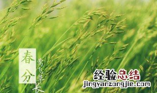 春分节气优美短句 列出如下4句